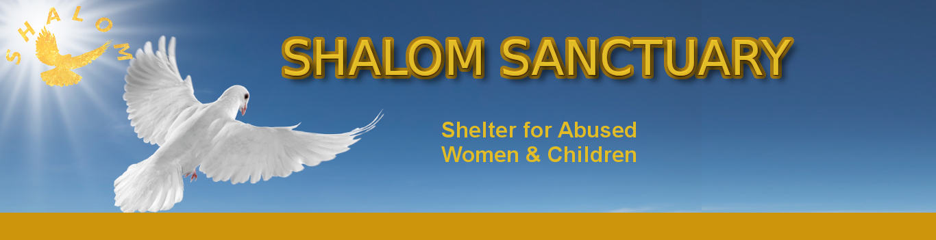 white dove flying on clear blue sky